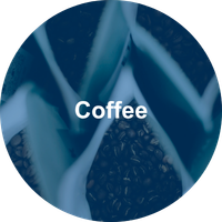 Coffee Industry Navigation